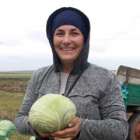 Виїхали на капусті 